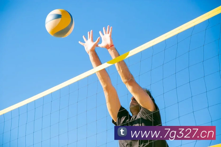 米兰体育在线登录网址APP 封面图